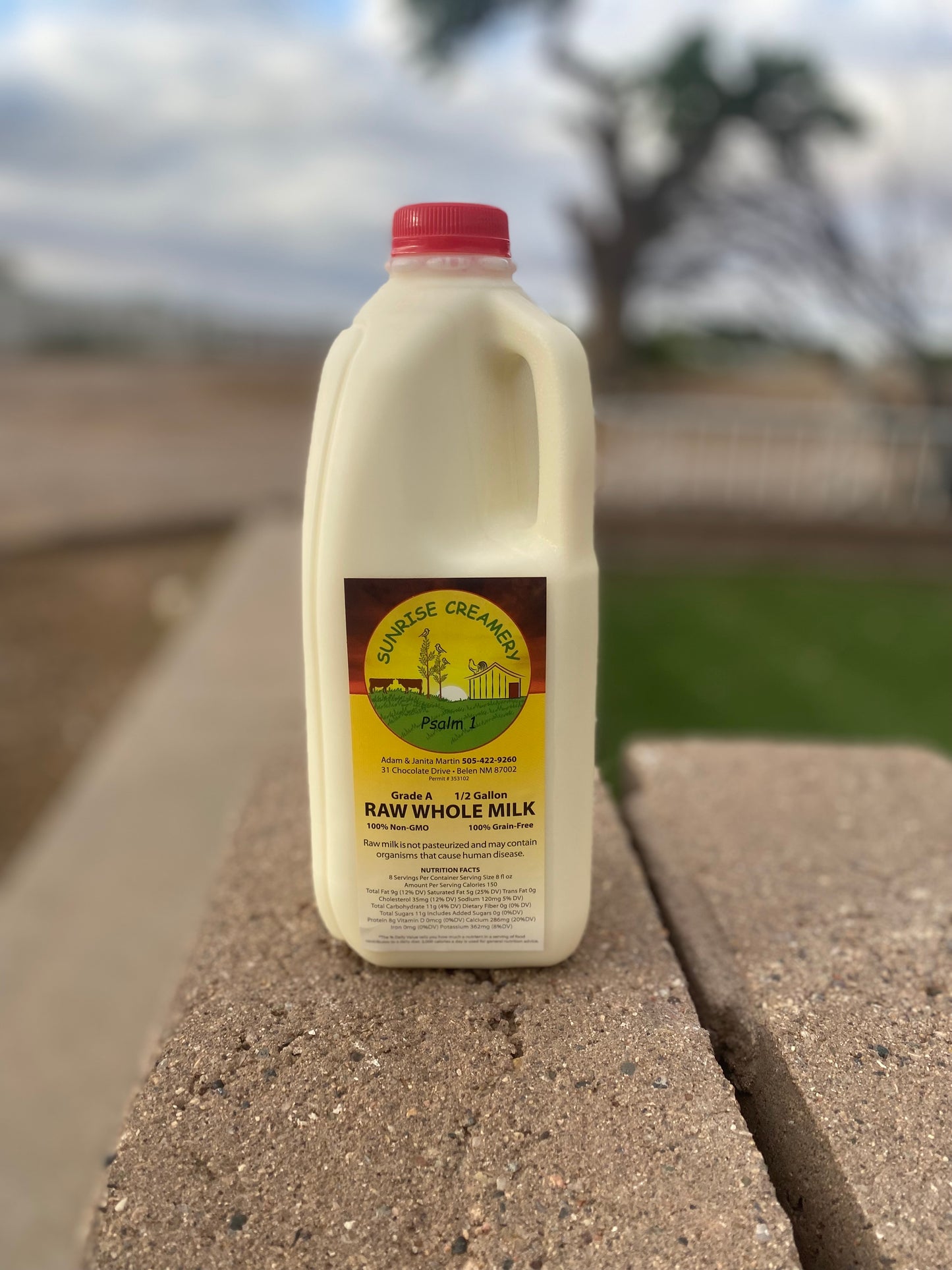 Raw Whole Milk, Half Gallon, 64 fl oz