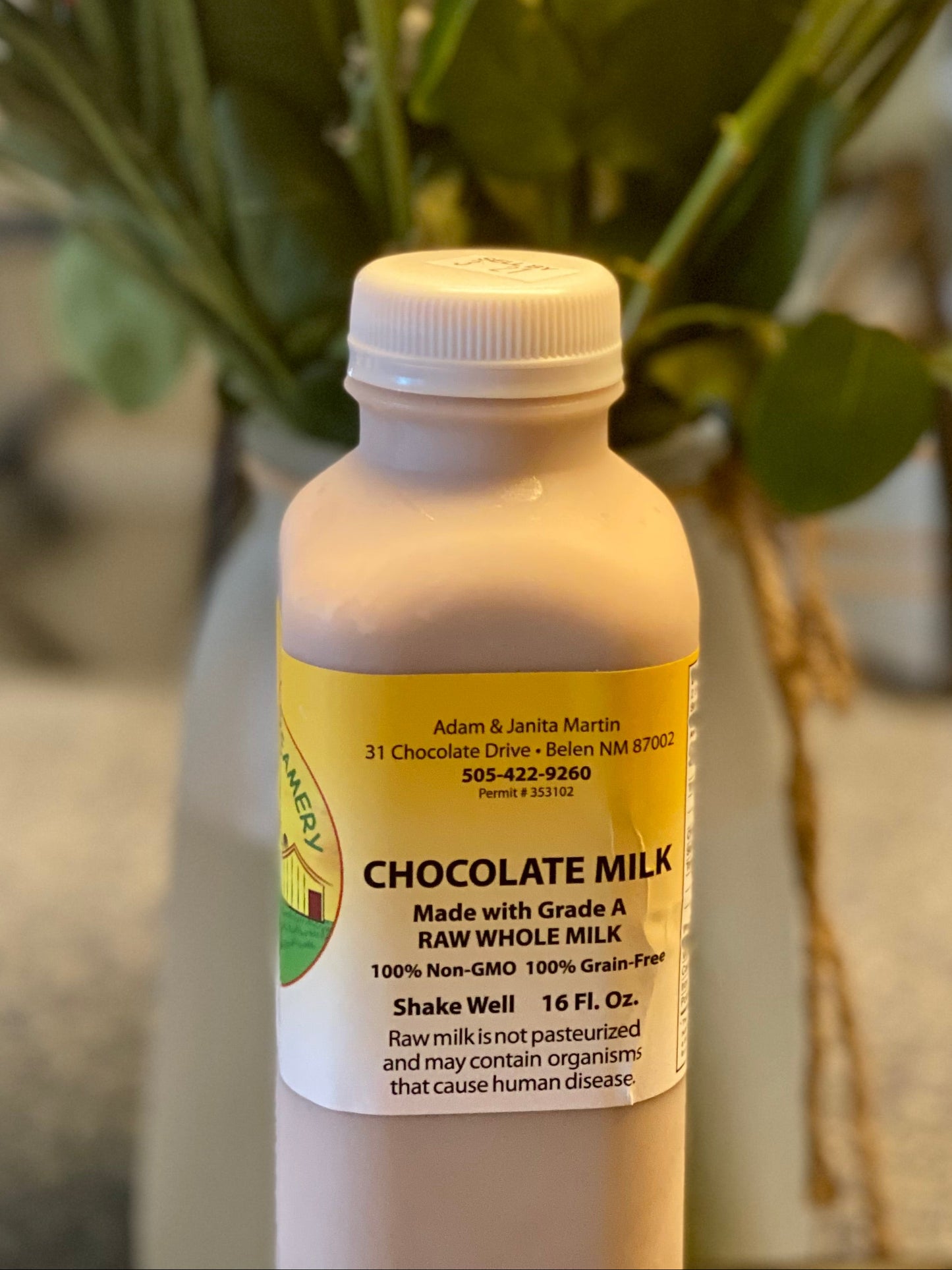 Raw Whole Chocolate Milk 16 fl.oz.